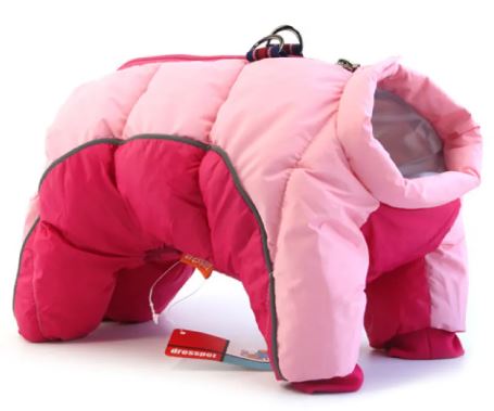 Cozy Canine Winter Wear