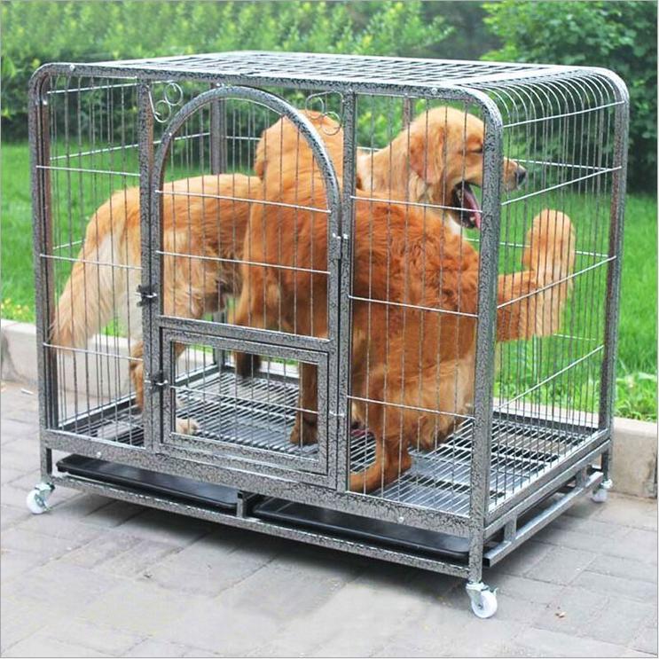 Dog Crate for Golden Retrievers and Small Breeds