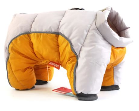 Cozy Canine Winter Wear