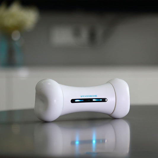 Smart Pet Toy - Crazy Bone Driven Board